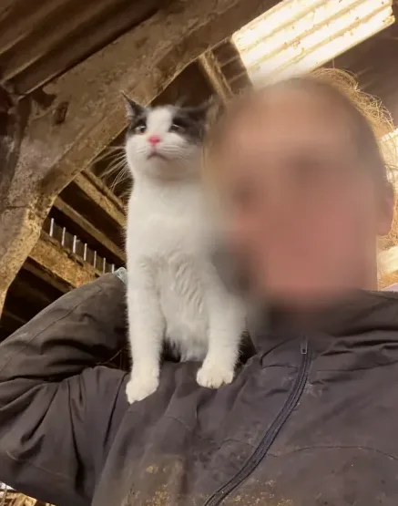 Kira, 23